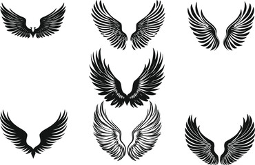 Obraz premium set of feathers