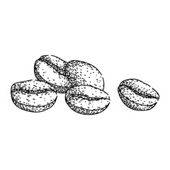 espresso cofeee bean sketch hand drawn vector