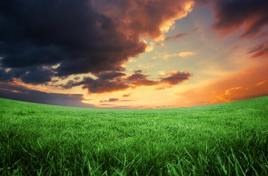 Fototapeta Green field under orange sky
