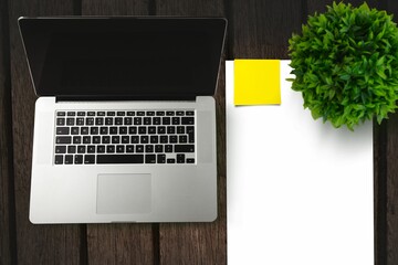 Laptop on side of a paper and plant