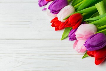 Bouquet of vibrant tulip stems is lying diagonally on painted white wooden plank surface