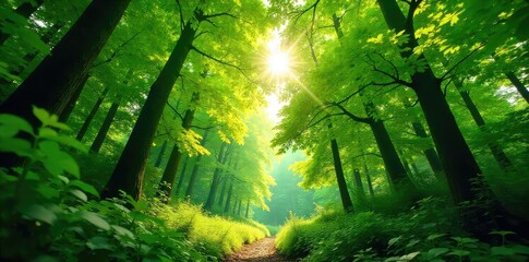 Obraz premium Lush green forest canopy, sunlight dappling through leaves, creating a vibrant, natural scene Perfect for nature, environment, and ecology projects , biodiversity, green, leaves