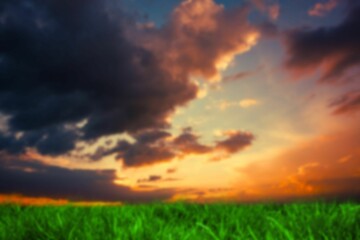Obraz premium Grassy field against sky during sunset