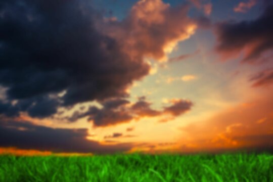 Fototapeta Grassy field against sky during sunset