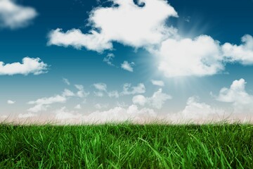 Flat design showing green grass field stretching under drifting clouds and shining sun rays