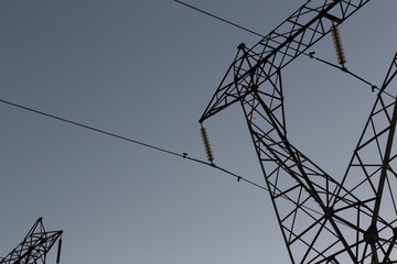 The evening electricity pylon silhouette