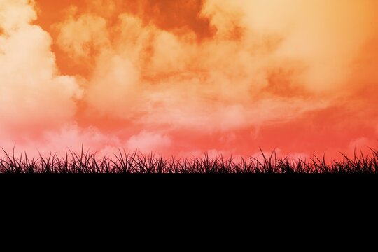 Fototapeta Silhouetted grass blades are swaying in flat design meadow with clouds under gradient sunset sky