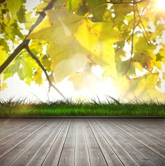Leaves against wooden planks