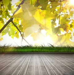 Rollo Leaves against wooden planks © vectorfusionart