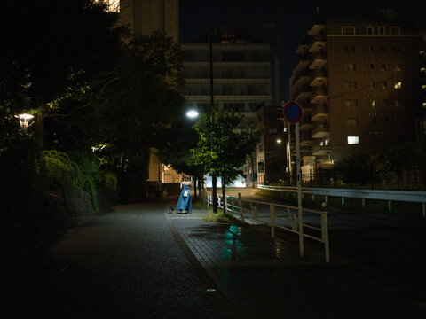 Night Walk with Dog in Urban Alley