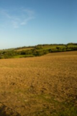 High angle view of field against blue sky