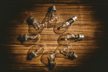 Overhead view of shiny bulbs