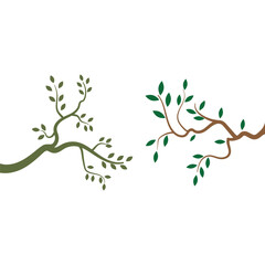 Brach logo vector element and illistration