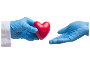Transparent PNG available
doctor hands giving a red heart, health care, organ donation, family life insurance, world heart day, world health day, praying concept.