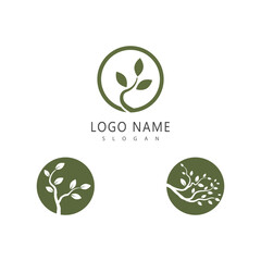 Brach logo vector element and illistration