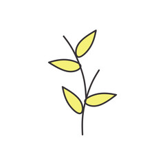 cute floral elements with soft colors and outlines. flowers, leaves, stems