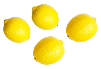 Top view set of four fresh ripe yellow lemon fruits isolated with clipping path in png file format