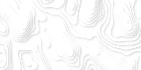 Papercut layers and paper cut topography vector art background banner texture. Abstract white paper cut background with realistic shapes. Modern vector illustration for concept design.	