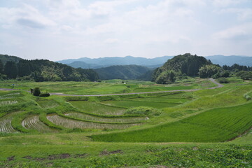 Shimane,Japan - June 27, 2025: Sannoji Rice terraces at Unnan-city 