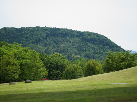 Peaceful green park with distant forest hill