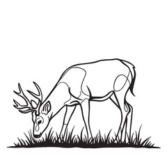 Elegant black and white line art illustration of a deer grazing on grass in nature