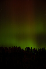 Spectacular displays of shimmering light from Aurora Borealis in the night sky. It was an amazing display of the Northern Lights