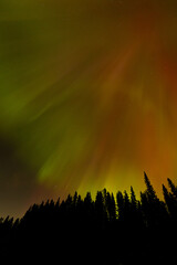 Spectacular displays of shimmering light from Aurora Borealis in the night sky. It was an amazing display of the Northern Lights