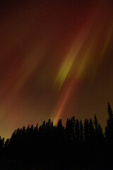 Spectacular displays of shimmering light from Aurora Borealis in the night sky. It was an amazing display of the Northern Lights