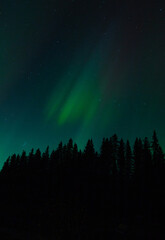 Spectacular displays of shimmering light from Aurora Borealis in the night sky. It was an amazing display of the Northern Lights
