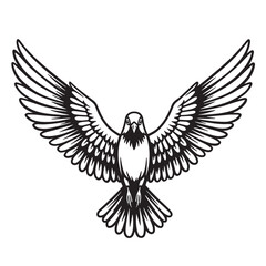 Fototapeta premium Vector illustration of a majestic dove with open wings in black and white