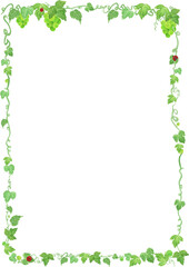 무당벌레가 있는 포도줄기 일러스트 프레임