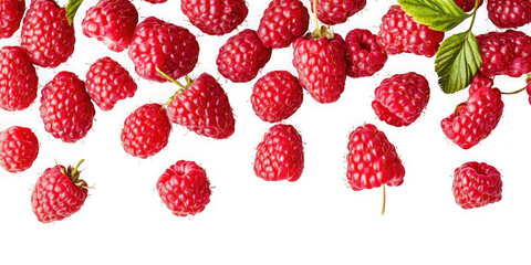 A scattered arrangement of fresh raspberries against a stark on transparent background