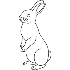 Line Rabbit Illustration