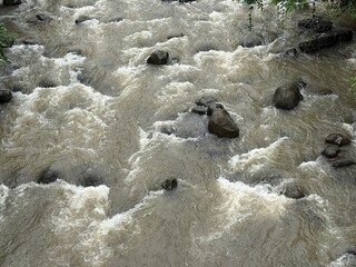 Various photos for the background