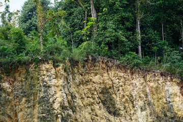 Natural Textured Rock Cliff with Lush Green Forest and Dense Foliage Above Rugged Landscape View