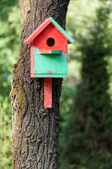 Homemade wooden birdhouse in red and green color, attached to the trunk of a tree, vertical photo, close-up.