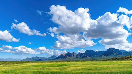 Fototapeta premium Stunning landscape vista featuring lush green fields under bright blue sky adorned with fluffy white clouds, creating serene atmosphere