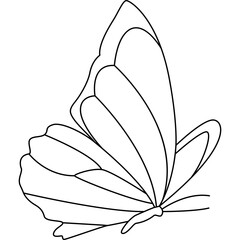 Butterfly Line Illustration