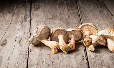 mushrooms on a wooden table