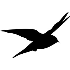 Swallow Bird Silhouette