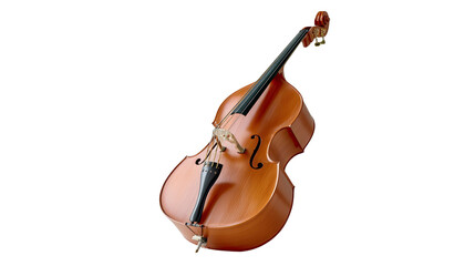 Grand Bass: A timeless and classical double bass, its rich wooden body and elegant curves stand as a symbol of musical heritage.