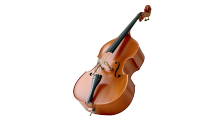 Grand Bass: A timeless and classical double bass, its rich wooden body and elegant curves stand as a symbol of musical heritage.