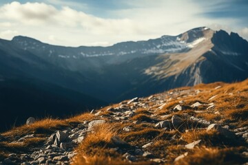 A close-up view of a rocky mountain trail, with dry grass scattered across the terrain, leading towards towering mountains in the background