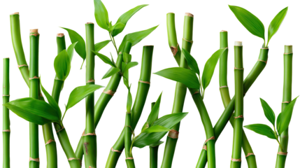 Serene Bamboo Stems: A collection of vibrant green bamboo stems with lush leaves creates a sense of calm and natural beauty. The image evokes feelings of tranquility and eco-friendliness.