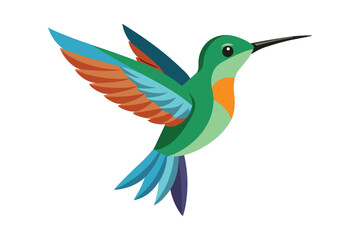 Dainty hummingbird on white background