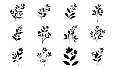 Bundle Wild Indigo Flower Blue Petal Clusters Outlined 35 Wild Indigo Flower Blue Petal