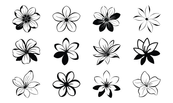 Bundle Tagar Flower Clean White Petals Soft Flat Fill 40 Tagar Flower Clean White Petal