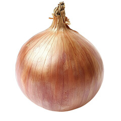 Obraz premium onion isolated on white