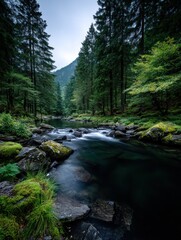 Obraz premium Misty mountain stream flowing through a lush forest