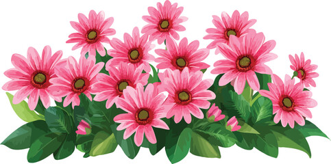Obraz premium Pink Gerbera Daisy Flower Arrangement with Green Leaves on White Background